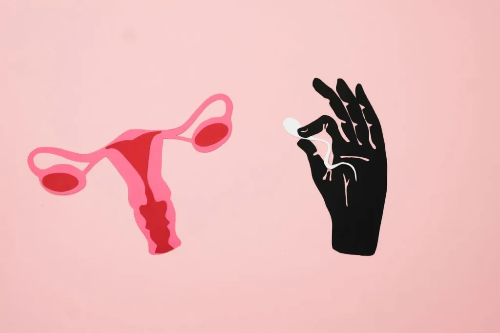 How Many Follicles are Normal in Each Ovary for IVF
