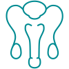 Male Fertility