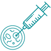 Risks IVF
